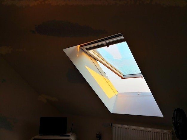 Why Biophilic Home Design Is Changing the Way We Use Natural Light